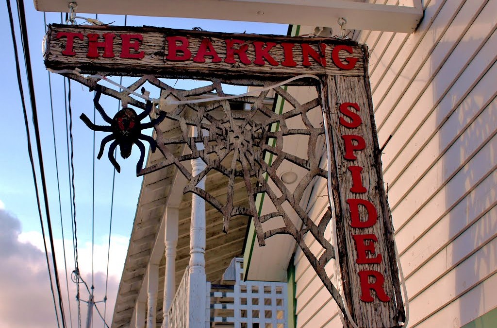 Barking Spider Bar