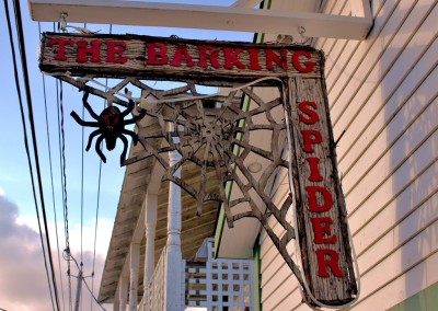 Barking Spider Bar