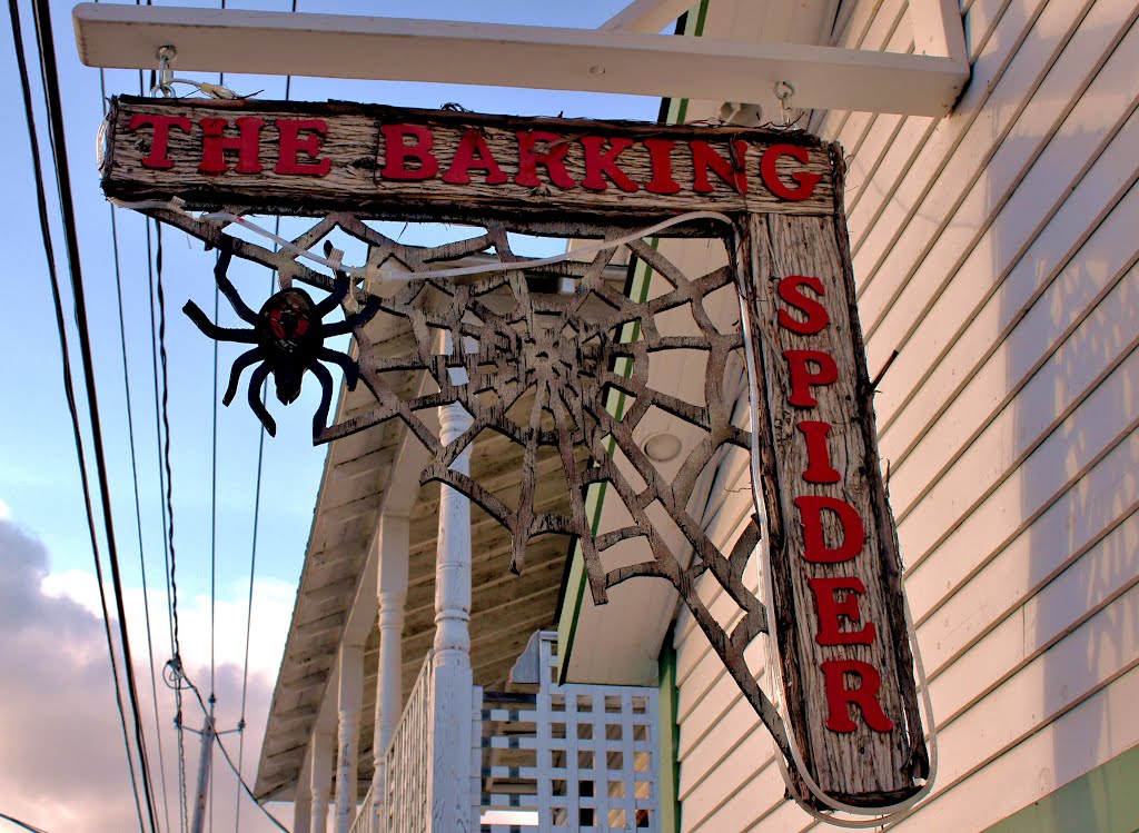 Barking Spider Bar