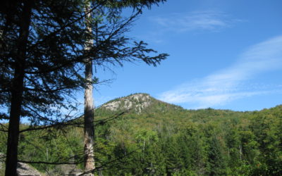 North Creek This Week, Thru Aug. 15, 2021