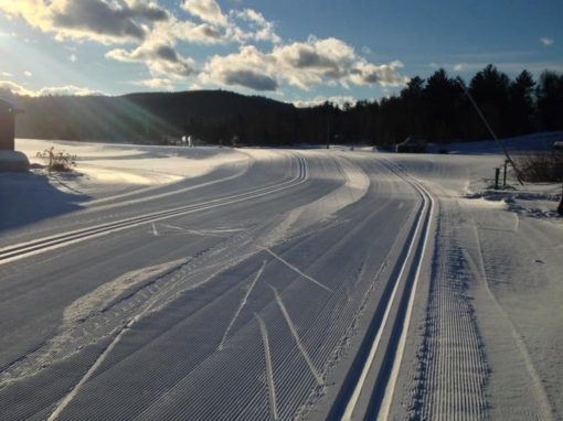 Ski Bowl Nordic, Winter