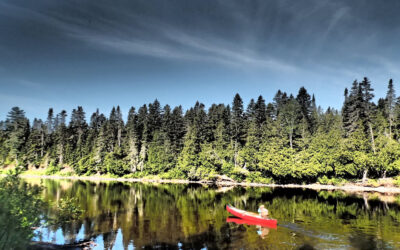 North Creek This Week, Thru August 8, 2021